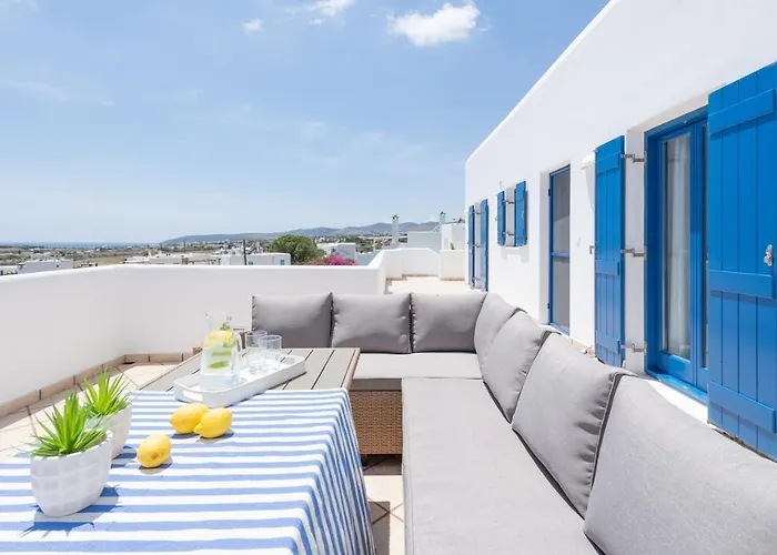 Sealit Deluxe * Drios